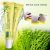 Kem trị mụn, mờ thâm, mịn màng Beauty Host nội địa Đài Trung