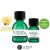 Tinh Dầu Cho Da Mụn The Body Shop Tea Tree Oil (10ml)