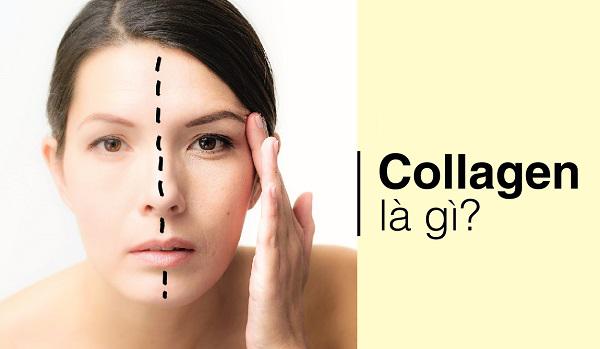 Bật Mí Công Dụng Của Collagen Trong Làm Đẹp Da