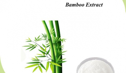 Công Dụng Làm Đẹp Da Bất Ngờ Của Chiết Xuất Tre (Bamboo Extract)