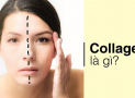Bật Mí Công Dụng Của Collagen Trong Làm Đẹp Da